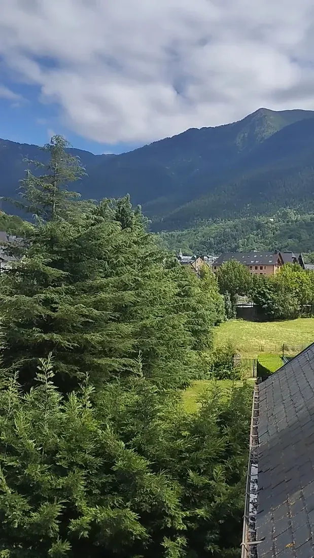 Hotel Spa Acevi Val d'Aran — view 2